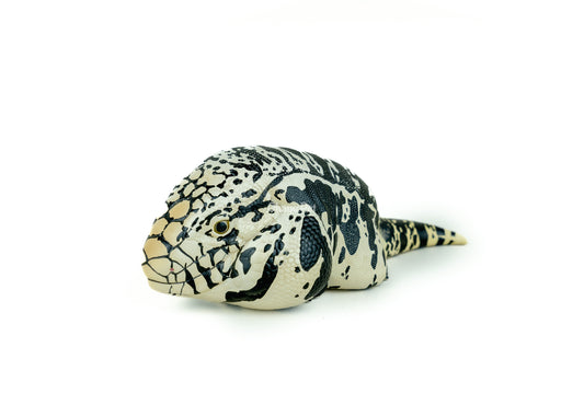 Black and White Tegu Figure