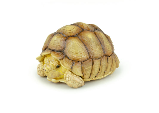 Sulcata Tortoise Figure