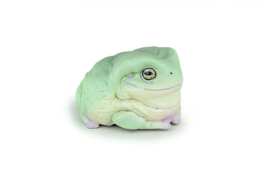 American green tree frog Figure