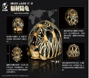 Radiated Tortoise Figure